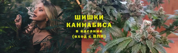 PSILOCYBIN Дмитровск
