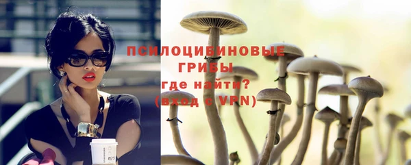 PSILOCYBIN Дмитровск
