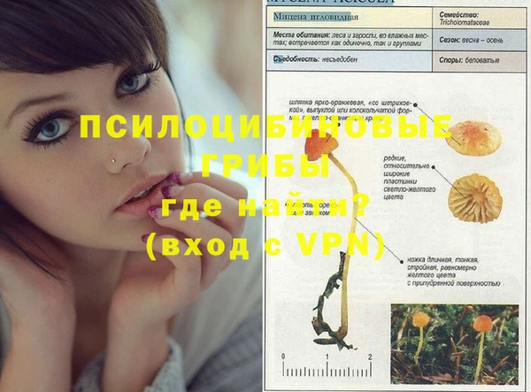 PSILOCYBIN Дмитровск