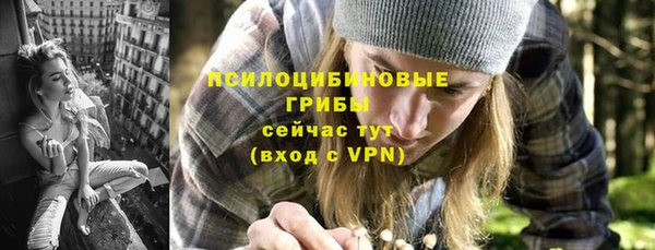 PSILOCYBIN Дмитровск